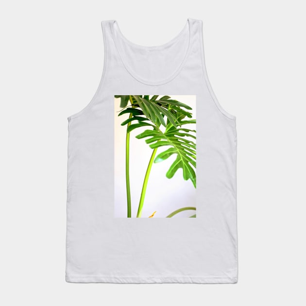 Soft Green Foliage on White Background Tank Top by lexlagmay